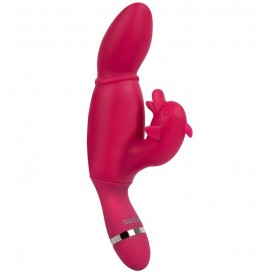 Вибратор со стимулятором клитора SASHAY VIBRATOR DOLPHIN - 17,5 см.